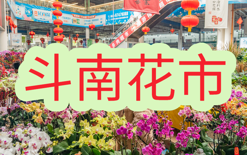 昆明斗南怎么逛？