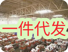 支持单件起售吗？