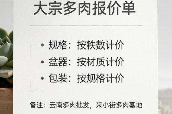 来小街多肉种植基地实景：B5-1 大棚一天的出货节奏