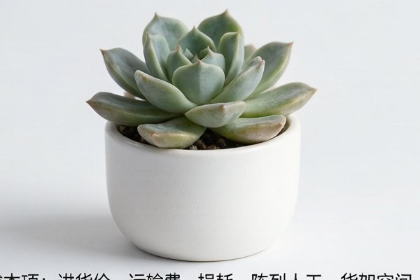 商超引流小盆栽怎么定价？从进货价到陈列价的测算