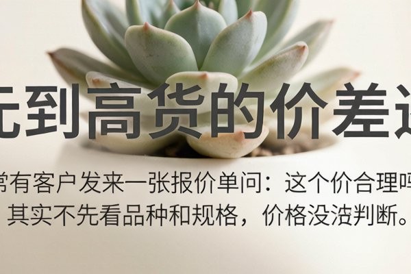 2026 多肉批发价格区间参考：从 20 元到高货的价差逻辑